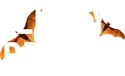 Lucky Dreams